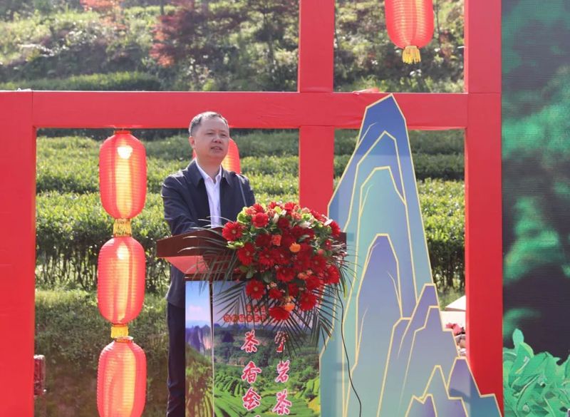 有关于 第四届“泰宁岩茶·茶香金湖”采茶节今日举办！推动茶产业再上新台阶的资讯(9)