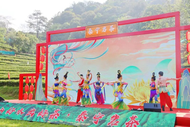 有关于 第四届“泰宁岩茶·茶香金湖”采茶节今日举办！推动茶产业再上新台阶的资讯(4)