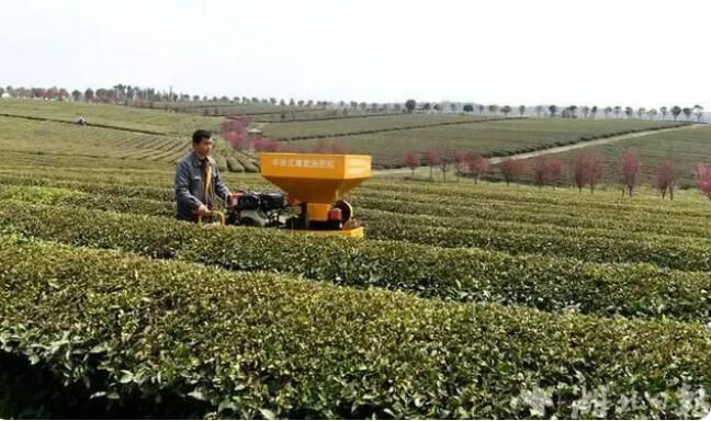 有关于湖北通城：茶园机械化服务队助茶企增收的信息(3)