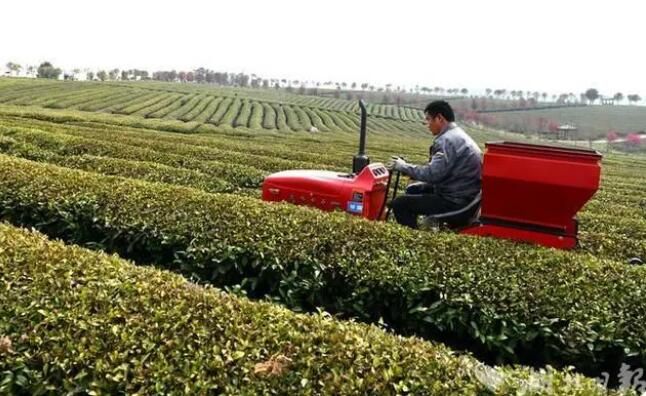 有关于湖北通城：茶园机械化服务队助茶企增收的信息(4)