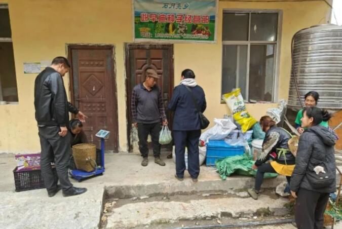 有关于福贡咱利村：激活茶产业新动能的新闻(3)