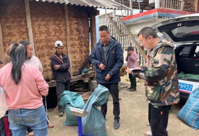 有关于福贡咱利村：激活茶产业新动能的新闻(5)