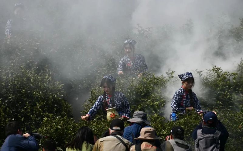 有关于春意浓 摘新绿 庐山云雾茶“开采节”正式拉开序幕的相关信息(8)