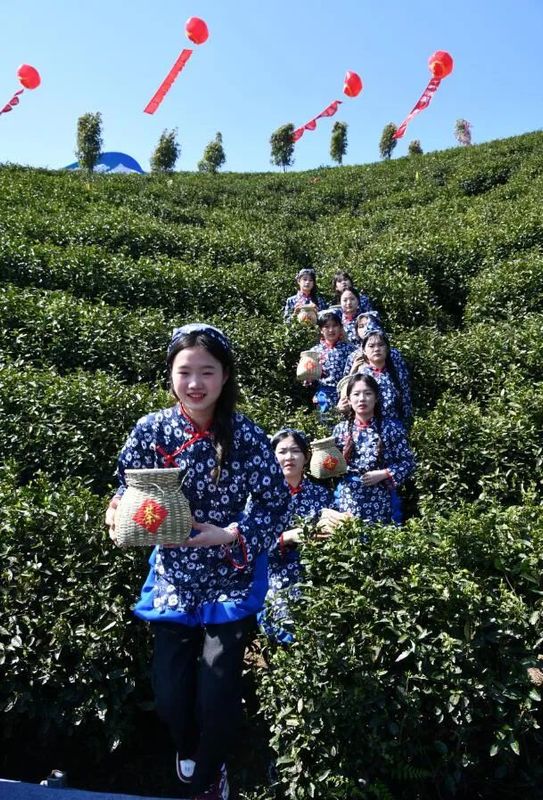 有关于春意浓 摘新绿 庐山云雾茶“开采节”正式拉开序幕的相关信息(7)