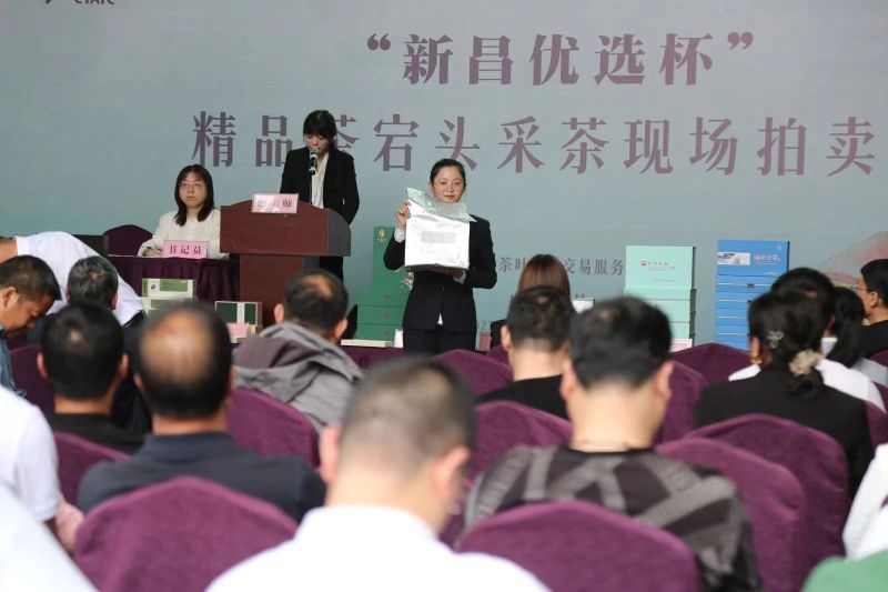 关于寻茶：“新昌优选杯”精品茶宕头采茶现场拍卖会在新昌圆满落槌的新闻(7)