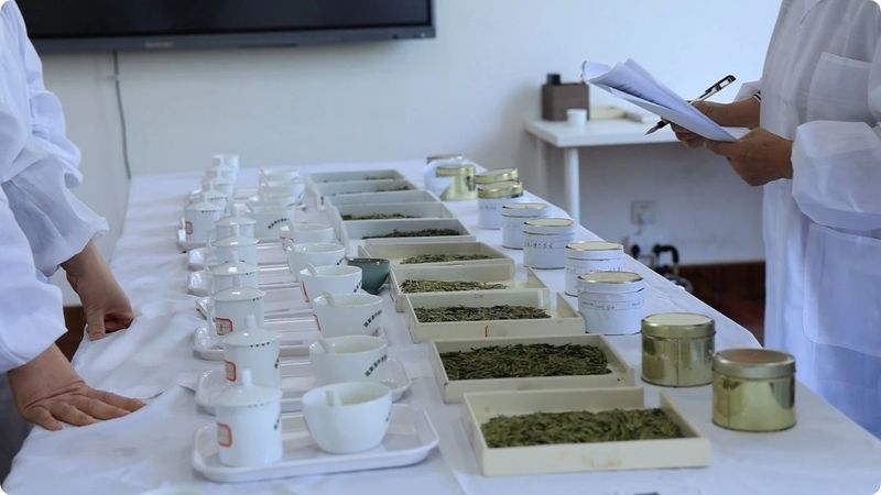 关于寻茶：“新昌优选杯”精品茶宕头采茶现场拍卖会在新昌圆满落槌的新闻(6)