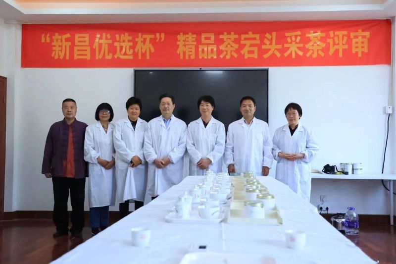 关于寻茶：“新昌优选杯”精品茶宕头采茶现场拍卖会在新昌圆满落槌的新闻(4)