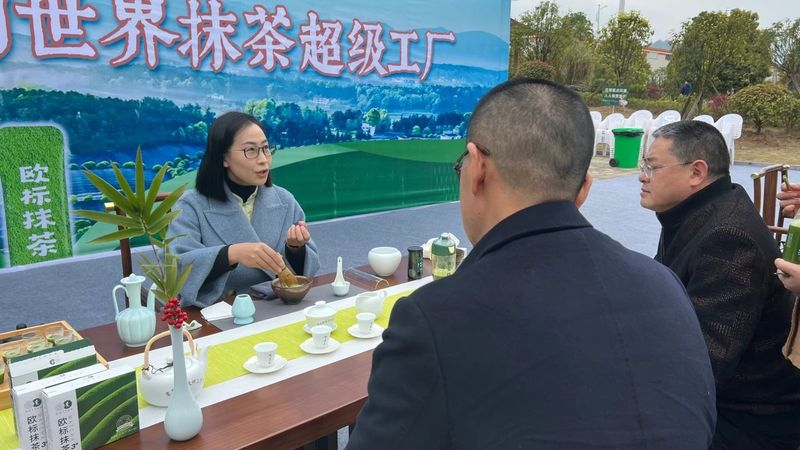 有关于梵净抹茶·香溢天下！2023梵净山抹茶大会圆满举办的最新消息(13)