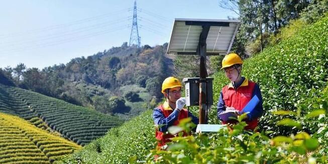 关于宁远：春茶“萌动”生产忙 电力护航茶飘香的最新消息