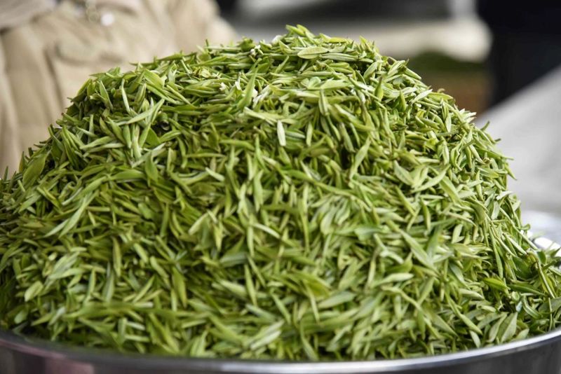 有关于春茶飘香！湄潭茶青交易市场火爆的信息(1)