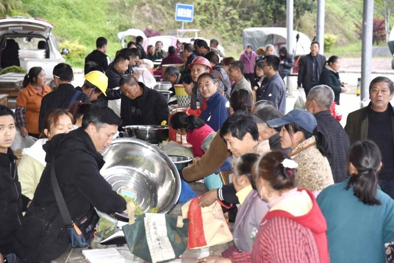 有关于春茶飘香！湄潭茶青交易市场火爆的信息