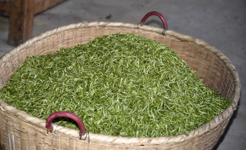 有关于春茶飘香！湄潭茶青交易市场火爆的信息(7)