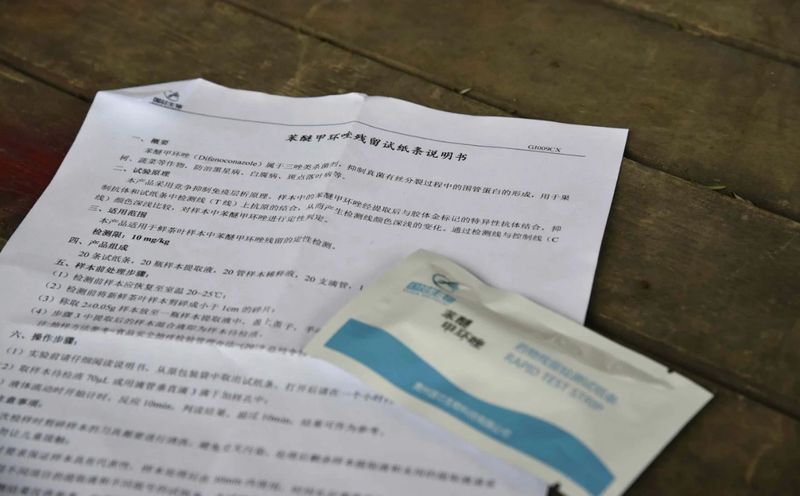 有关于春茶飘香！湄潭茶青交易市场火爆的信息(6)