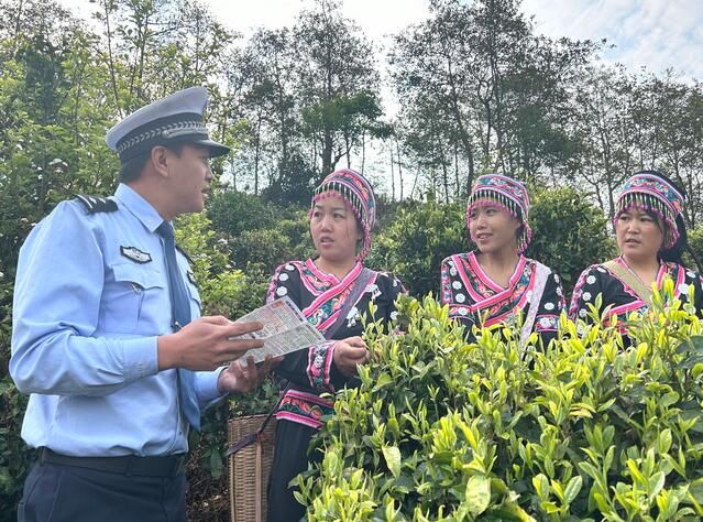有关于春耕时节采茶忙 凤庆交警送法到群众身边的新闻