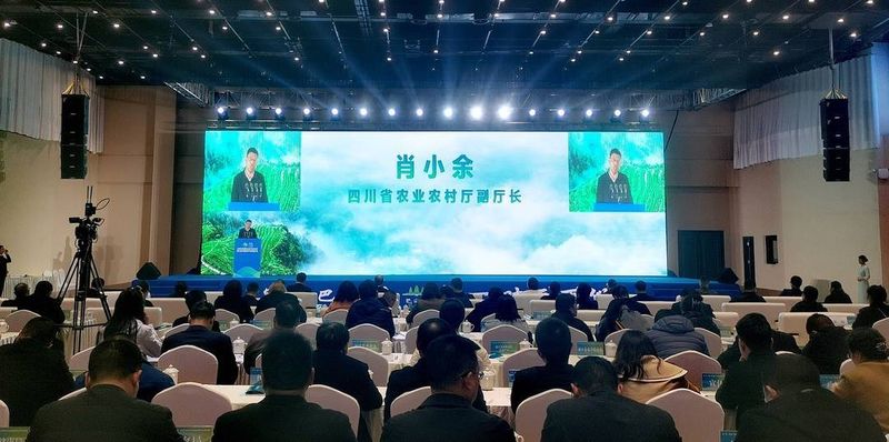 有关于“川茶”已连续两年综合产值超千亿元 推动“两带两区”建设到2030年力争破两千亿元 的信息