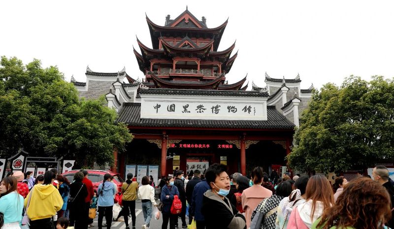 关于湖南省230名记者探寻茶乡写乡村振兴故事的相关内容(2)