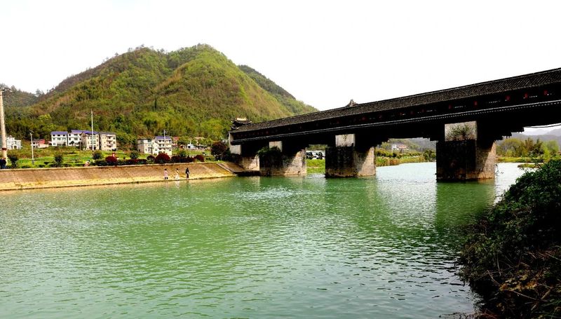 关于湖南省230名记者探寻茶乡写乡村振兴故事的相关内容(3)