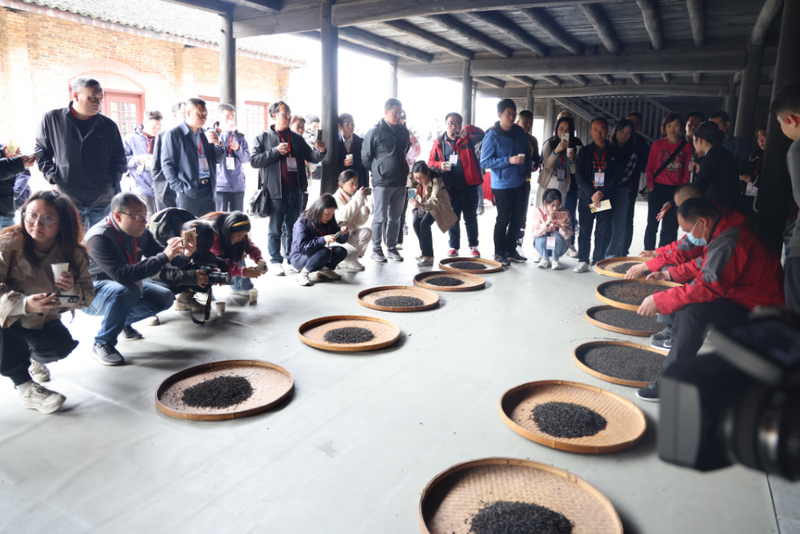 关于湖南省230名记者探寻茶乡写乡村振兴故事的相关内容(4)