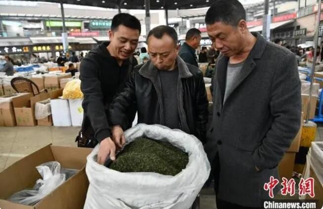 有关于四川名山：世界茶都茶叶交易市场交易火爆的最新消息
