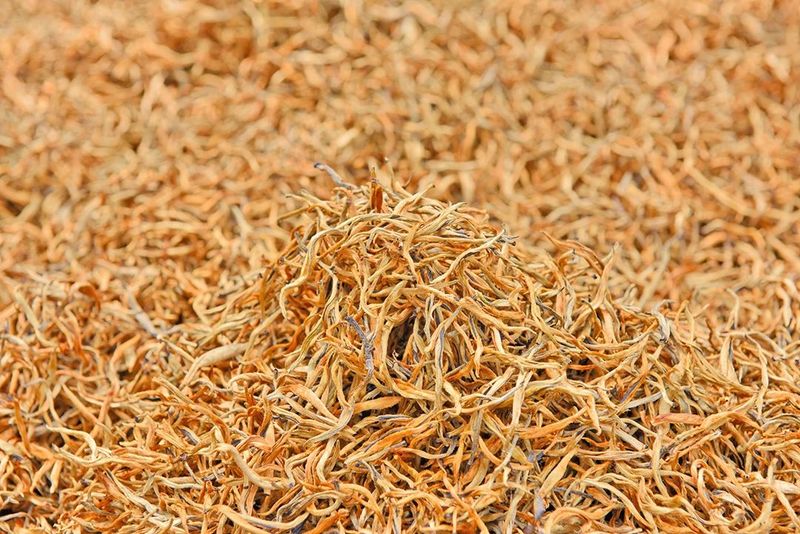 有关于昌宁 春到明华茶吐绿 大茶小茶“样样好”的内容(14)