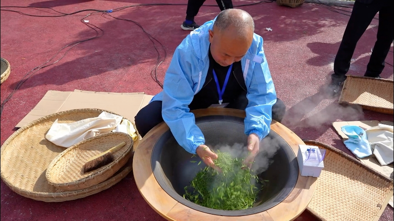 关于汉中宁强：2024年第三届“汉中仙毫”手工制茶技能大赛正式启动的最新消息(3)