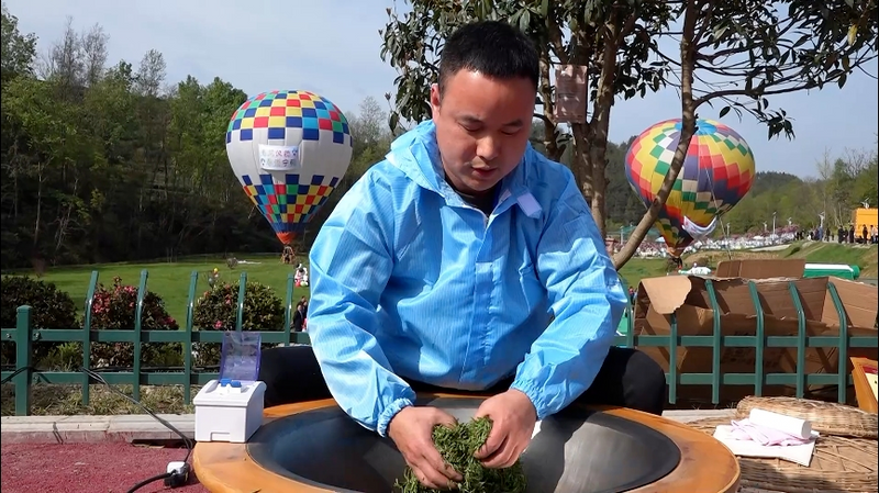 关于汉中宁强：2024年第三届“汉中仙毫”手工制茶技能大赛正式启动的最新消息(4)