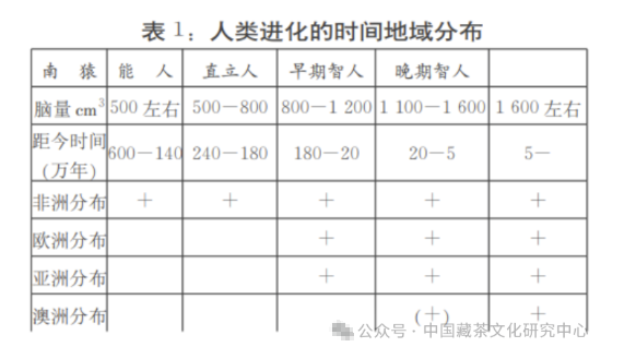 关于陈保亚教授谈茶马古道起源的信息