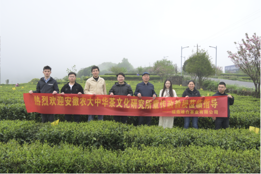 有关于知名学者走进福鼎白茶的资讯(2)