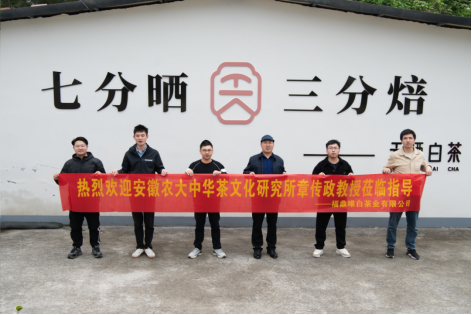 有关于知名学者走进福鼎白茶的资讯(5)