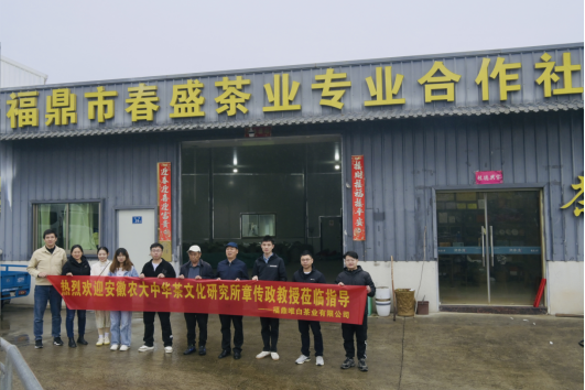 有关于知名学者走进福鼎白茶的资讯(3)