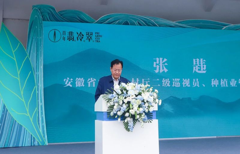 关于2024岳西翠兰开园节暨翠兰仙子古坊巡游会成功举办的新闻(5)