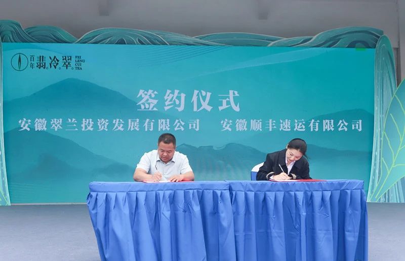 关于2024岳西翠兰开园节暨翠兰仙子古坊巡游会成功举办的新闻(14)