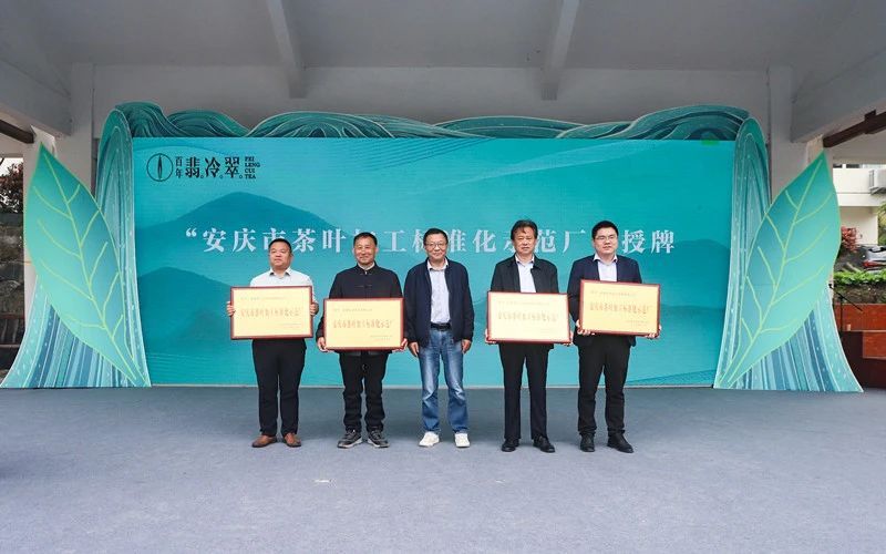 关于2024岳西翠兰开园节暨翠兰仙子古坊巡游会成功举办的新闻(11)