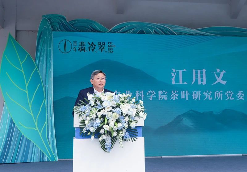 关于2024岳西翠兰开园节暨翠兰仙子古坊巡游会成功举办的新闻(4)