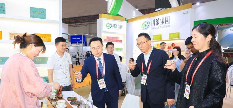 关于镇巴毛尖亮相“国际茶日”活动的内容(1)