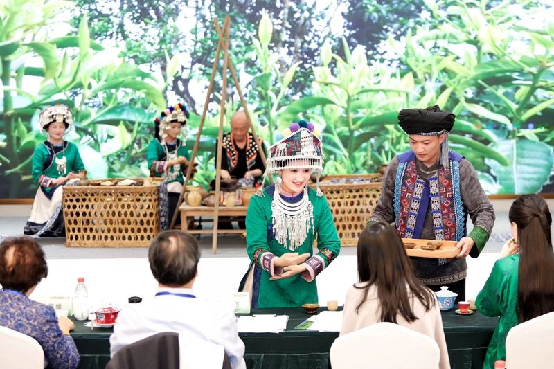 关于景东县无量山彝族烤茶获首届民族茶艺大赛银奖！的资讯(4)