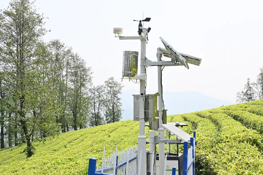 有关于南涧：一片绿叶成为联农带农富农的“金叶子”的资讯(4)