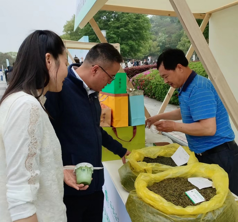 关于2024诸暨市全民饮茶日活动在城市广场举行的最新消息(12)