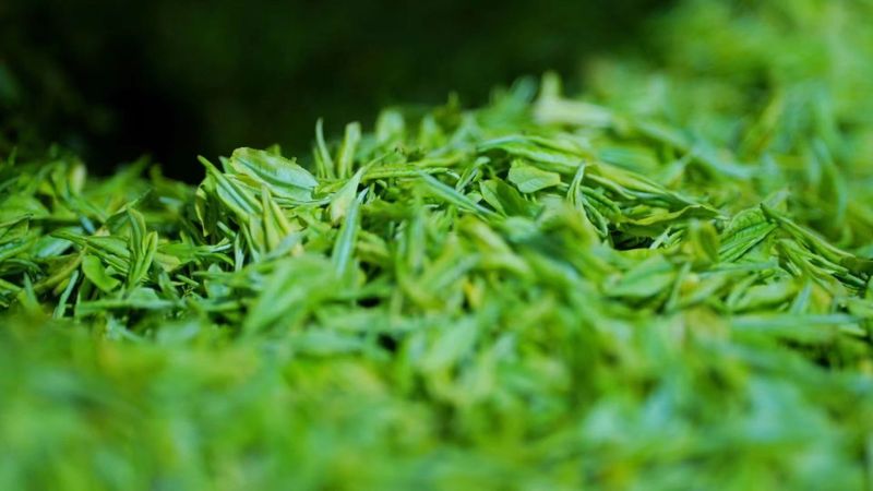 有关于常州溧阳:一片茶叶的旅程的资讯(1)