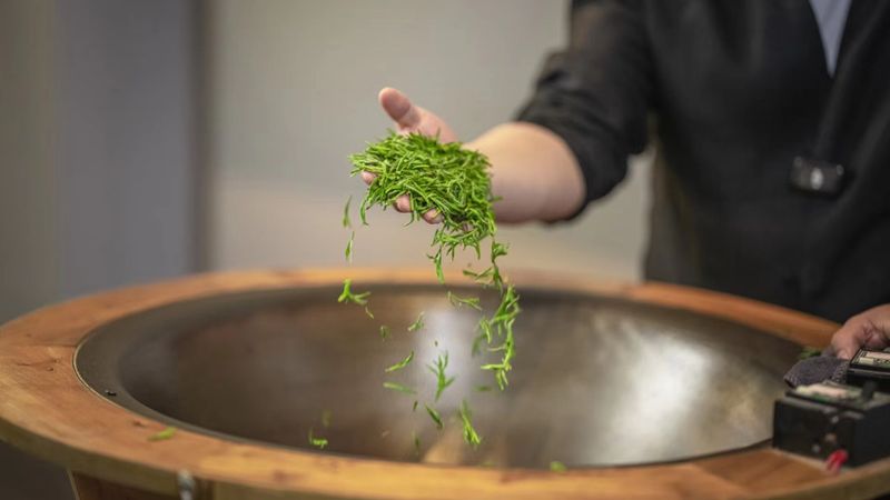 有关于常州溧阳:一片茶叶的旅程的资讯(3)