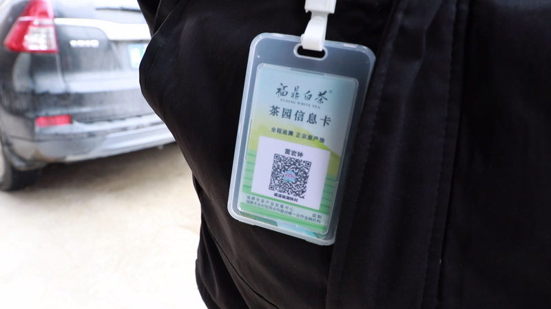 有关于农民日报：福鼎白茶品牌成长记的最新消息(2)