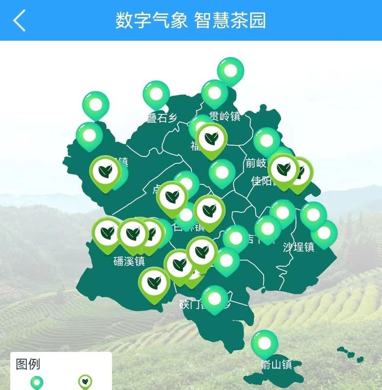 有关于农民日报：福鼎白茶品牌成长记的最新消息(4)