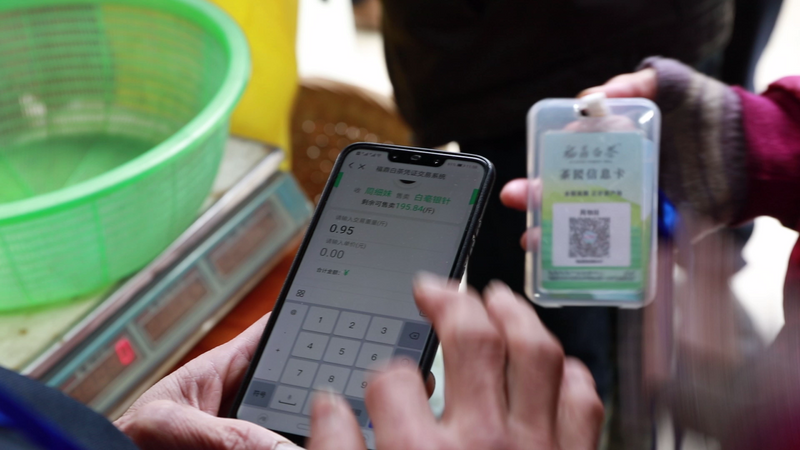 有关于农民日报：福鼎白茶品牌成长记的最新消息(3)