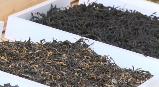 关于凤庆:多举措谱写茶产业助农增收致富新篇的相关信息(3)