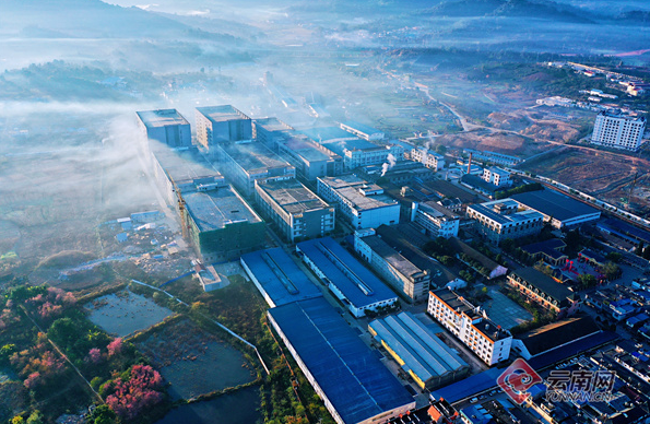 有关于第十三届勐海（国际）茶王节将于5月16日至19日举办的最新消息(4)