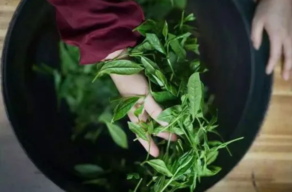 关于中国名茶之都·黄山2024第十八届太平猴魁茶文化旅游节活动于今日启幕的内容(4)