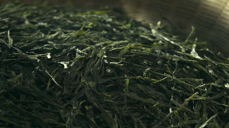 关于中国名茶之都·黄山2024第十八届太平猴魁茶文化旅游节活动于今日启幕的内容(7)