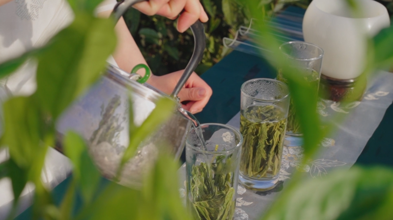 关于中国名茶之都·黄山2024第十八届太平猴魁茶文化旅游节活动于今日启幕的内容(6)