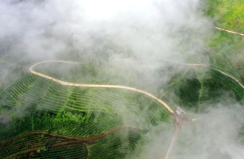 关于来自外太空的“茶礼”——“天造”的绝版茶园!的最新消息(10)