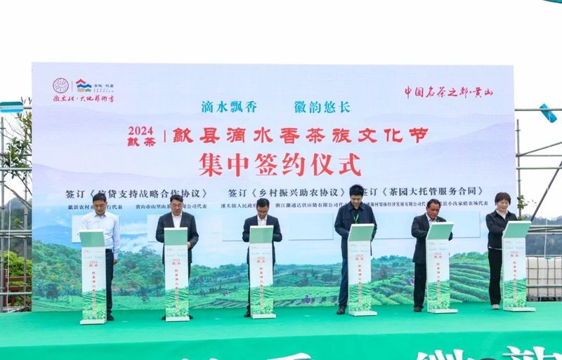 关于歙县滴水香茶旅文化节，启幕！的消息(11)